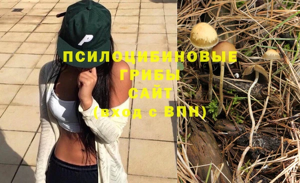 mdpv Бронницы