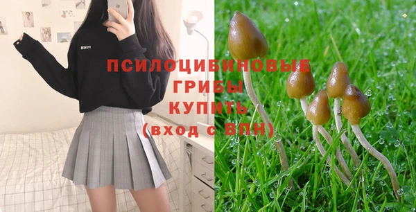 mdpv Бронницы