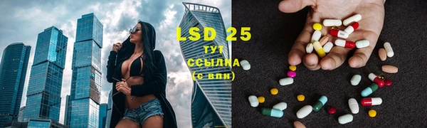 MESCALINE Бородино