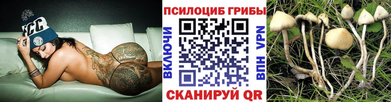 Галлюциногенные грибы прущие грибы  Купить где  Мамадыш 